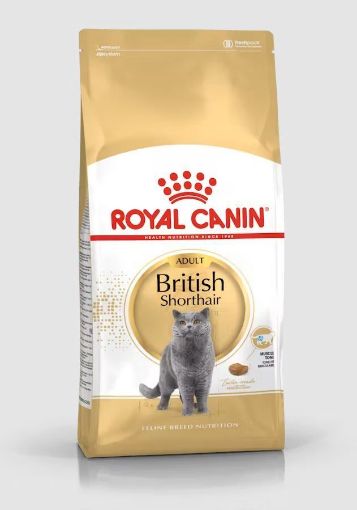 ROYALCANIN KEDİ MAMASI 2 KG BRITISH SHORTHAIR
 resmi