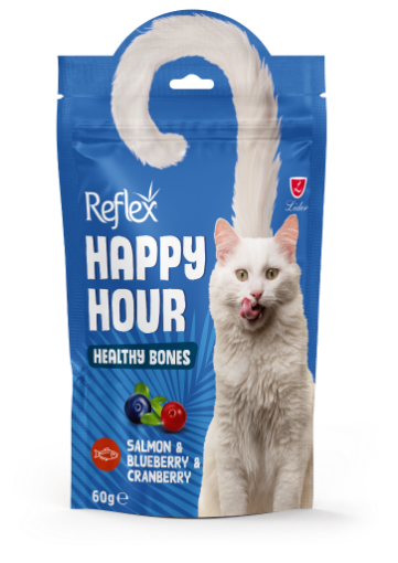 REFLEX KEDİ ÖDÜL 60GR HAPPY HEALTY BONES resmi
