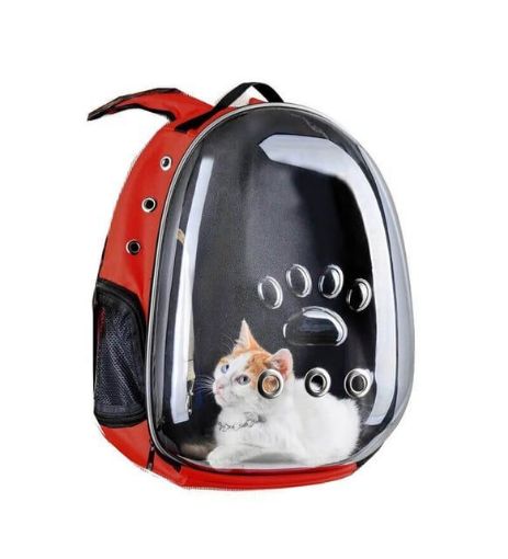 TROPHEUS CANTA KABUKLU ASTRANOT TCS 18 resmi