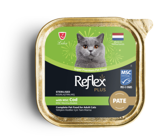 REFLEX FOLYO KEDI 85GR KISIR MORINA BALIKLI *RFK77 resmi