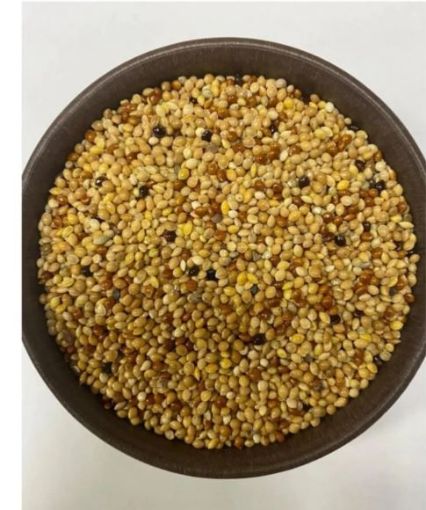 AÇIK MUHABBET KUŞU YEMİ KARIŞIK 1KG resmi