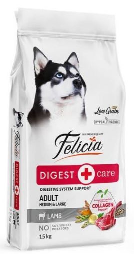 FELICIA KUZULU KÖPEK MAMASI 15KG resmi