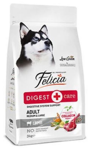 FELICIA KUZULU KÜÇÜK IRK KÖPEK MAMASI 3KG resmi