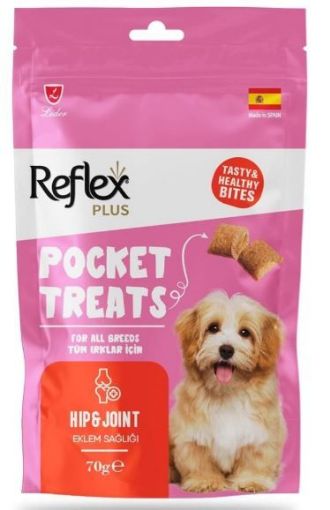 REFLEX POCKETS TREATS KİLO KONTROL İÇİN KÖPEK ÖDÜL MAMASI 70GR
 resmi