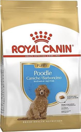 ROYAL CANIN HEDİYELİ POODLE MİNİ IRK KÖPEK MAMASI 3KG
 resmi
